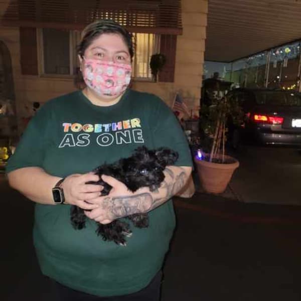 Customer photo of Yorkiepoo - Yorkie Poo puppy from Laura M.