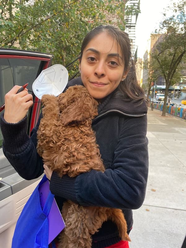 Customer photo of Goldendoodle, Mini puppy from Stephanie O.