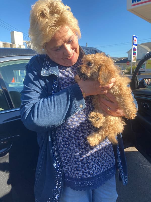Customer photo of Cavapoo puppy from Suzanne N. 