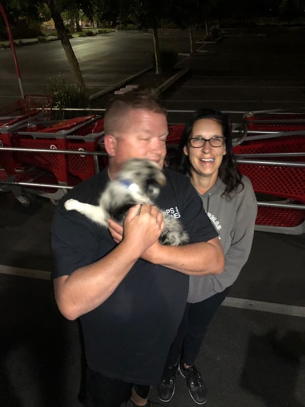 Customer photo of Miniature Australian Shepherd puppy from Michelle G.