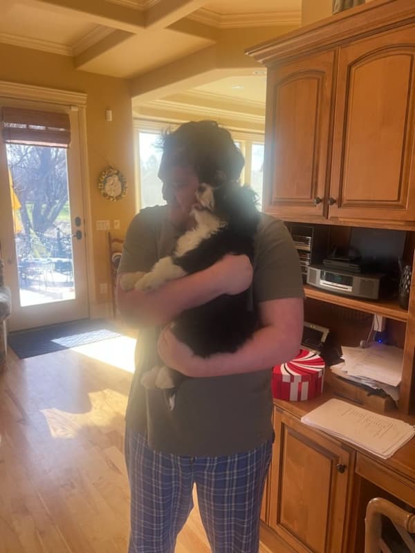Customer photo of Bernedoodle, Mini puppy from Victoria A.