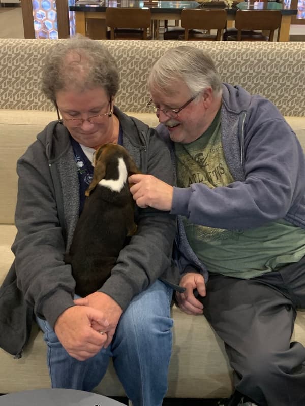 Customer photo of Beagle puppy from Carrie M.