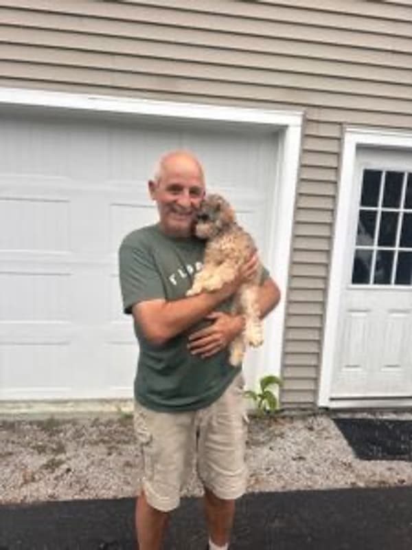 Customer photo of Poodle, Miniature puppy from Richard L.