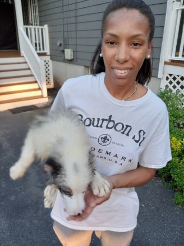 Customer photo of Australian Shepherd puppy from Daneke B.