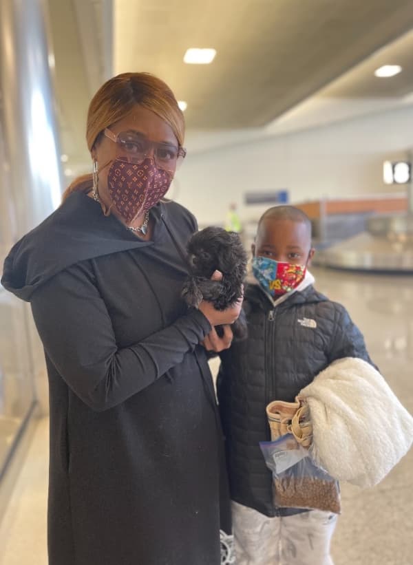 Customer photo of Shih Tzu puppy from Michelle B.