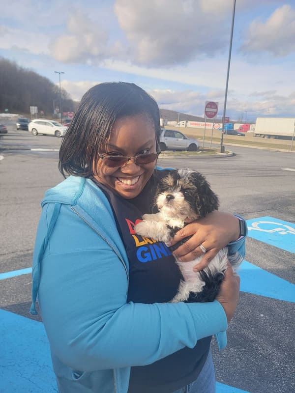 Customer photo of Cavachon puppy from April B. 