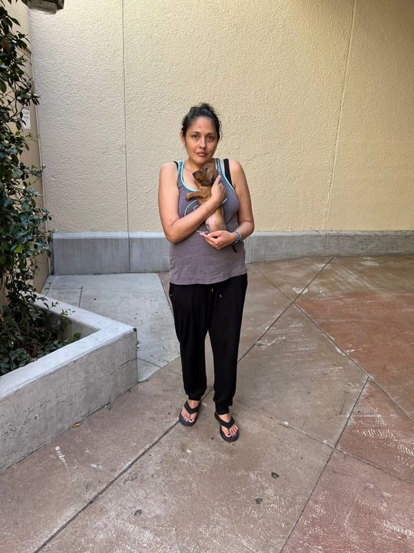 Customer photo of Dachshund, Mini puppy from Kimberly N.