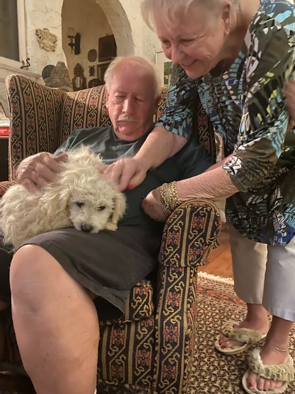 Customer photo of Shichon puppy from Sue & Robert C.