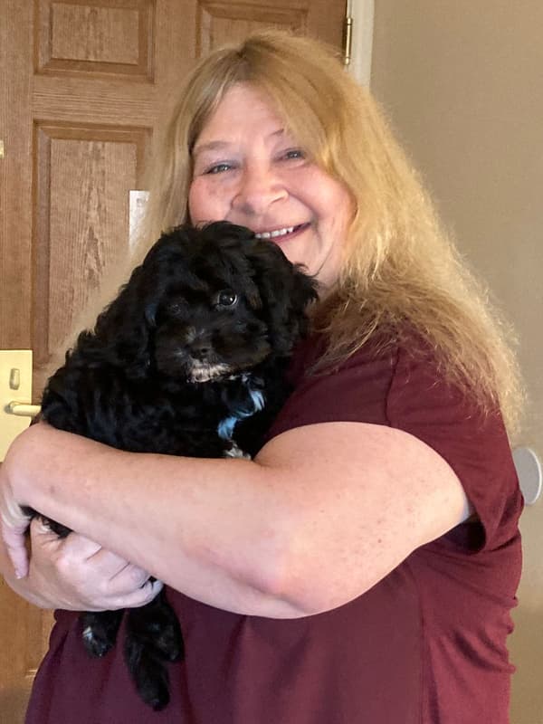 Customer photo of Cavachon puppy from Judy B.