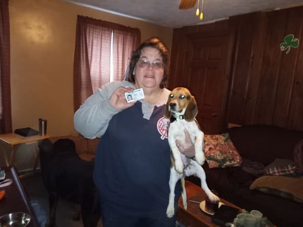 Customer photo of Beagle puppy from Jamie Q.