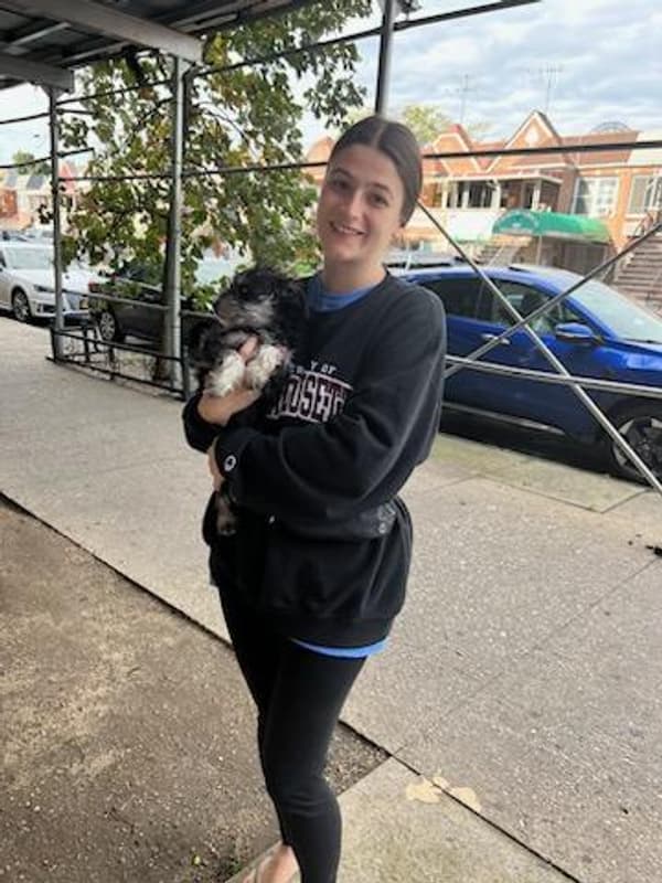 Customer photo of Schnoodle puppy from Talia L.