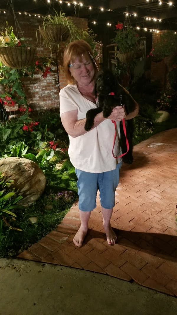 Customer photo of Labradoodle puppy from Susan H.