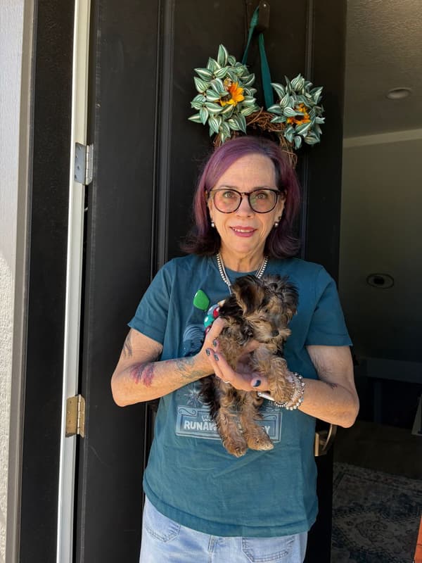 Customer photo of Yorkiepoo - Yorkie Poo puppy from Maritza T.