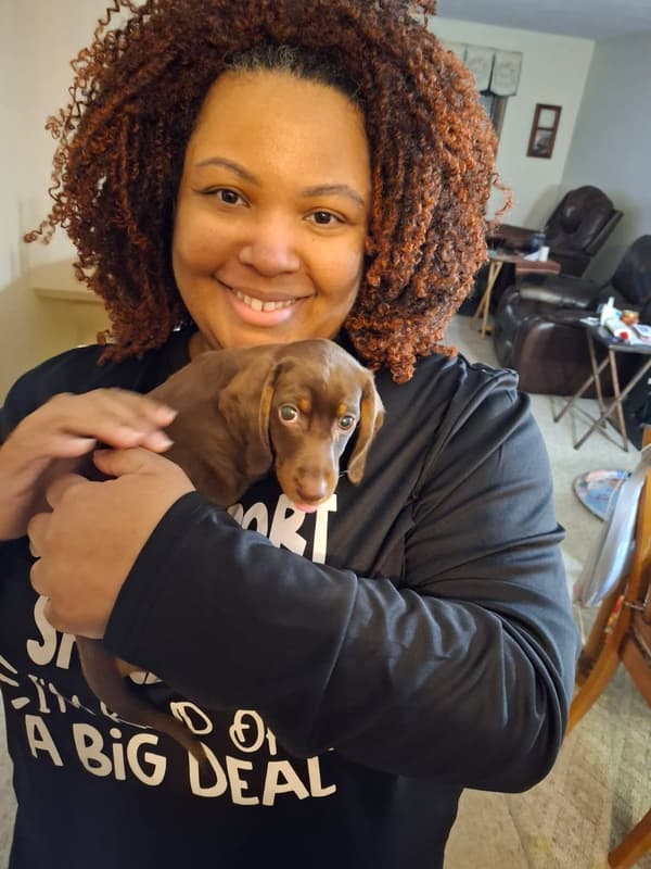 Customer photo of Dachshund, Mini puppy from Princess B.