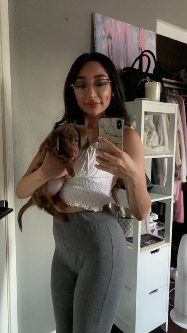 Customer photo of Dachshund, Mini puppy from Michelle V.