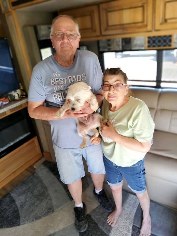 Customer photo of West Highland White Terrier - Westie puppy from Gail R.