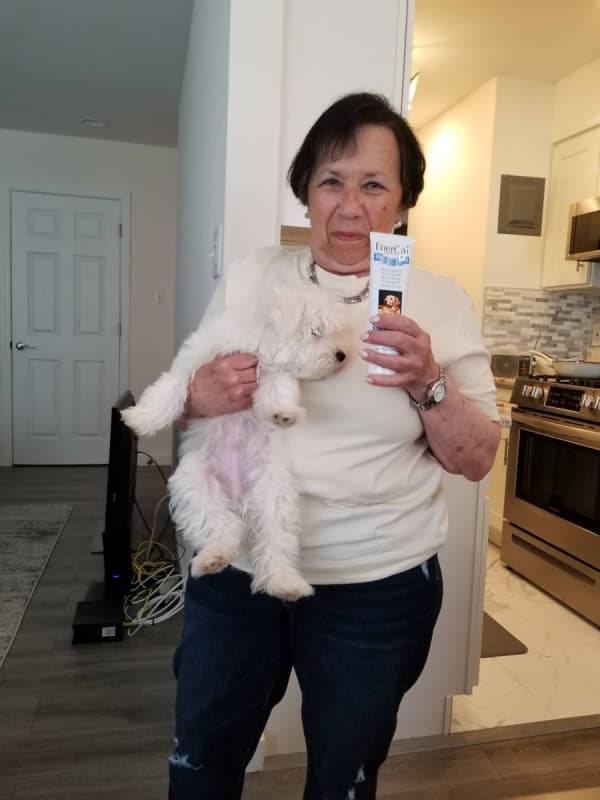 Customer photo of Maltese puppy from Joanne R.