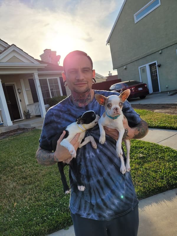Customer photo of Boston Terrier puppy from Jeffrey S.
