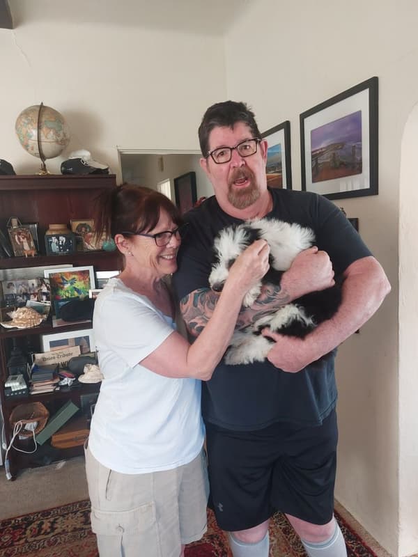 Customer photo of Sheepadoodle puppy from Sue R.