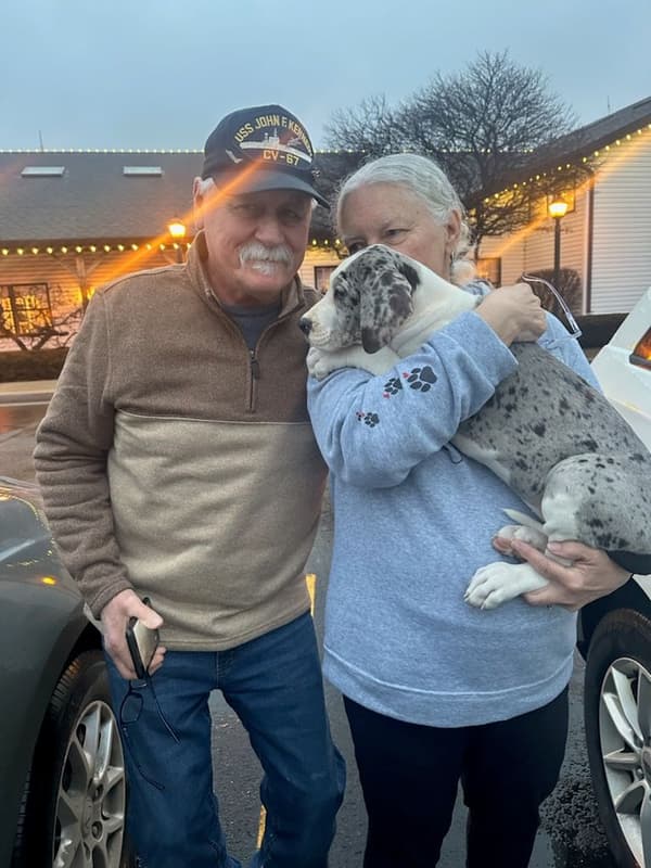 Customer photo of Great Dane puppy from Donna D.