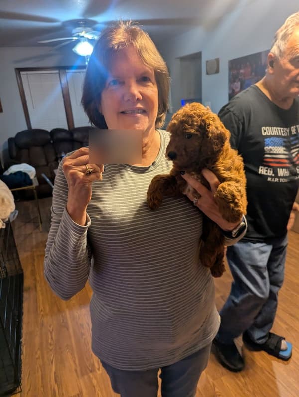 Customer photo of Goldendoodle, Mini puppy from Neita M.