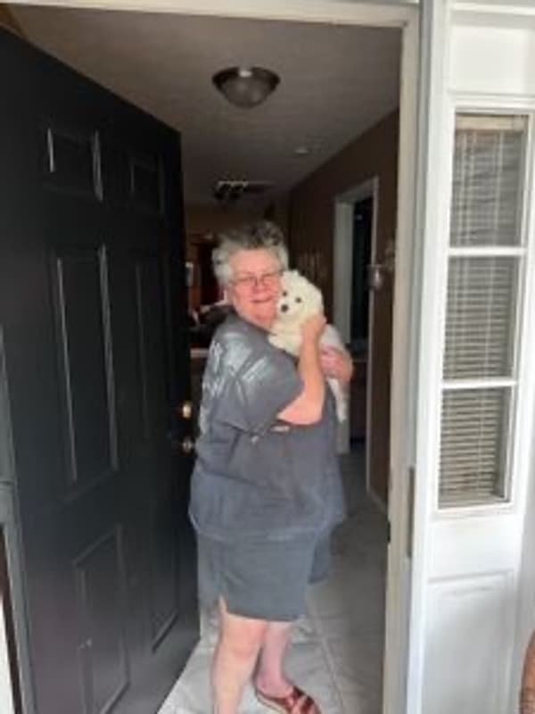 Customer photo of Maltese puppy from Tina P.