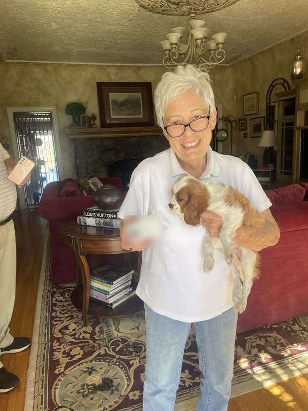 Customer photo of Cavalier King Charles Spaniel puppy from DeeAnn C.