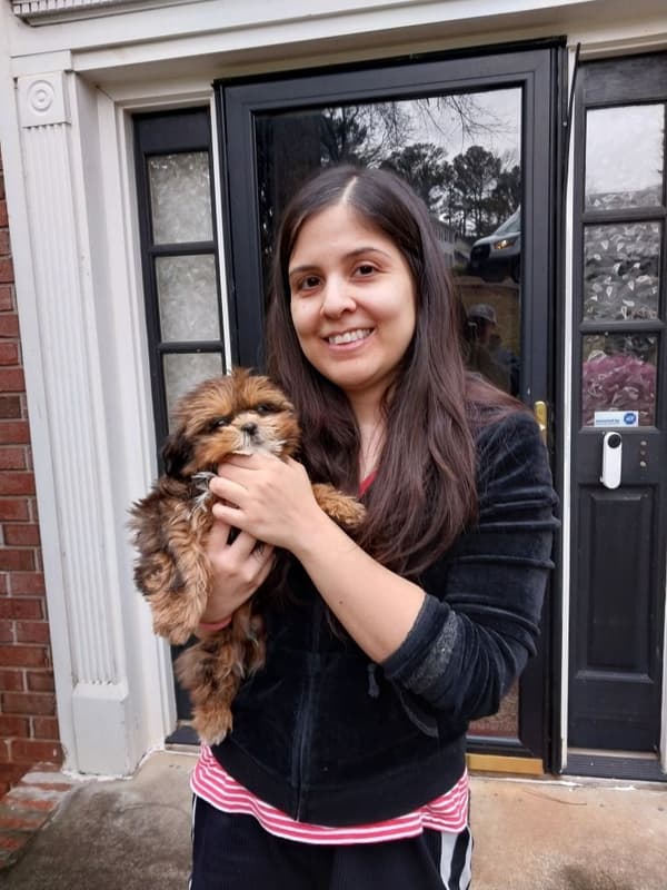 Customer photo of Shih Tzu puppy from Christine V.