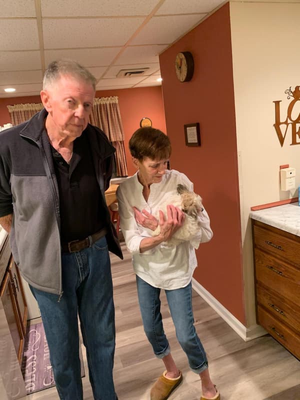 Customer photo of Malti Poo - Maltipoo puppy from Betty M. 