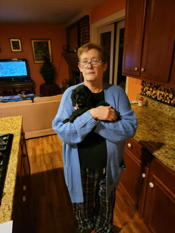 Customer photo of Cocker Spaniel puppy from Karan G.