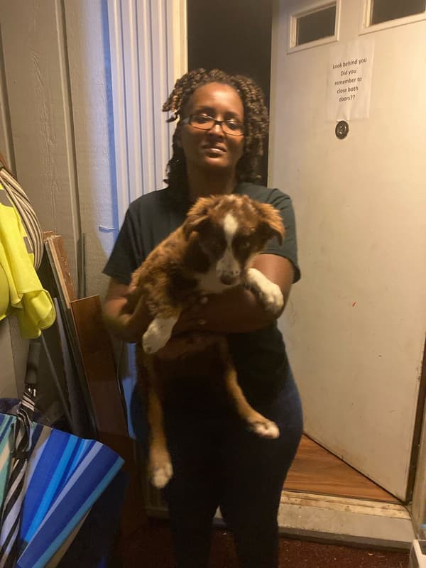 Customer photo of Australian Shepherd puppy from Brynn S.