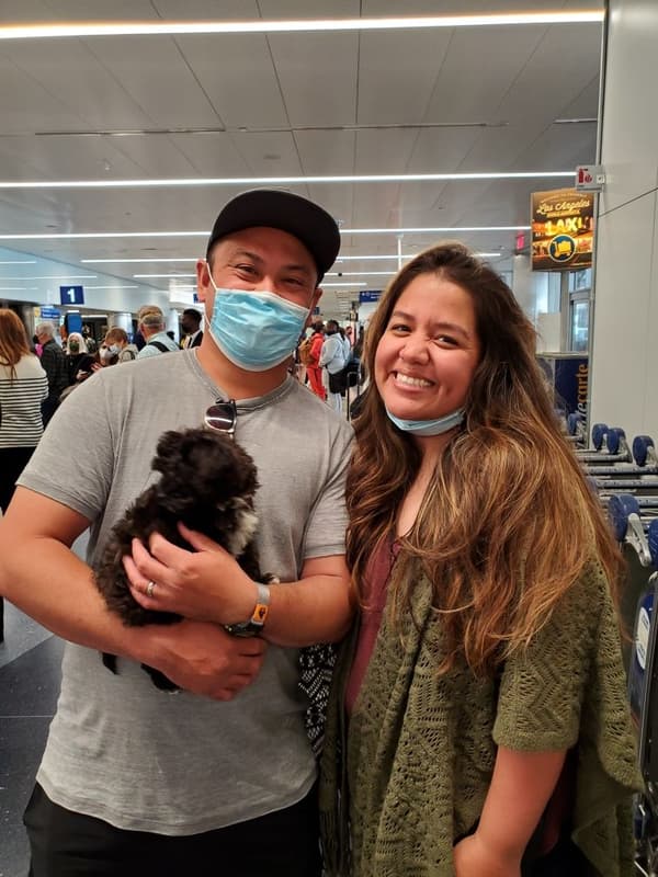 Customer photo of Havapoo puppy from Ashley M.