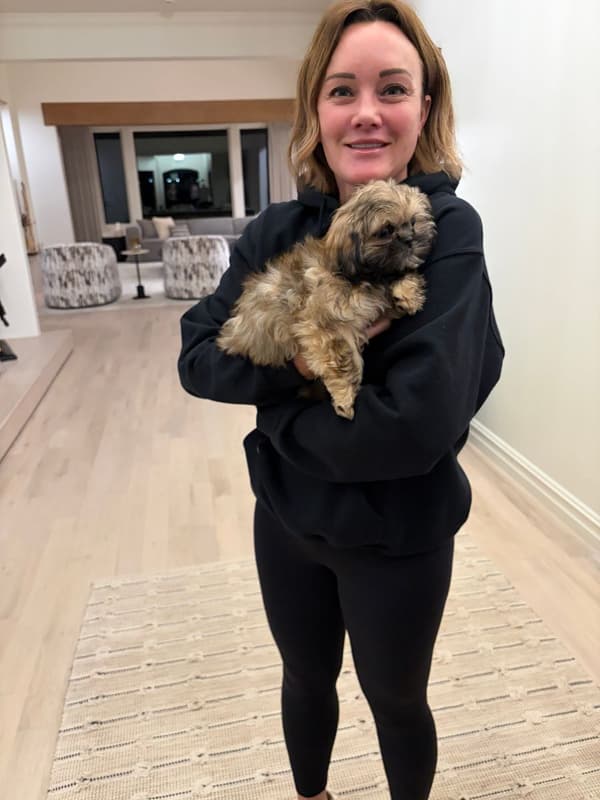 Customer photo of Shih Tzu puppy from Kim. C.