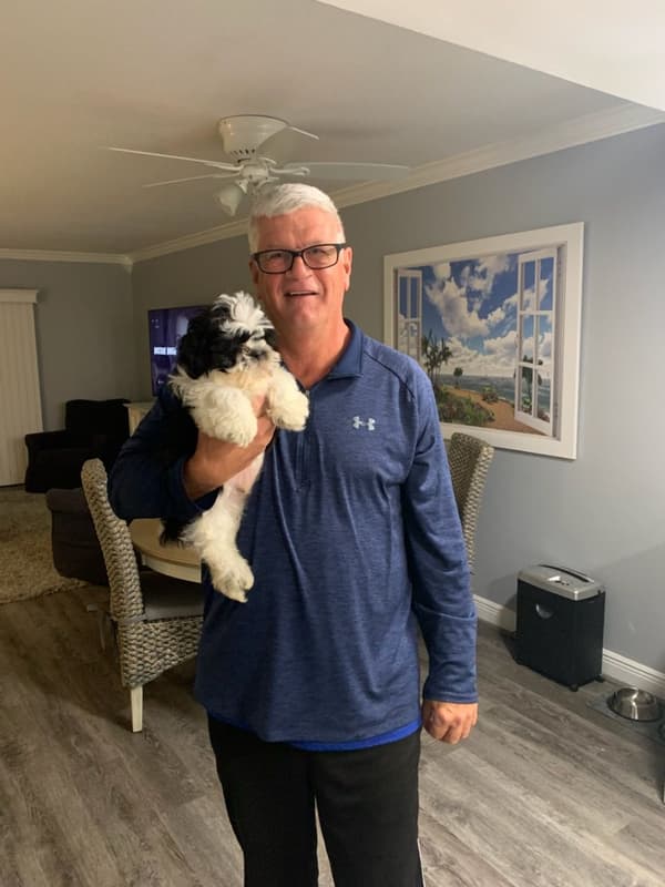 Customer photo of Shih Tzu puppy from Stephen R. 