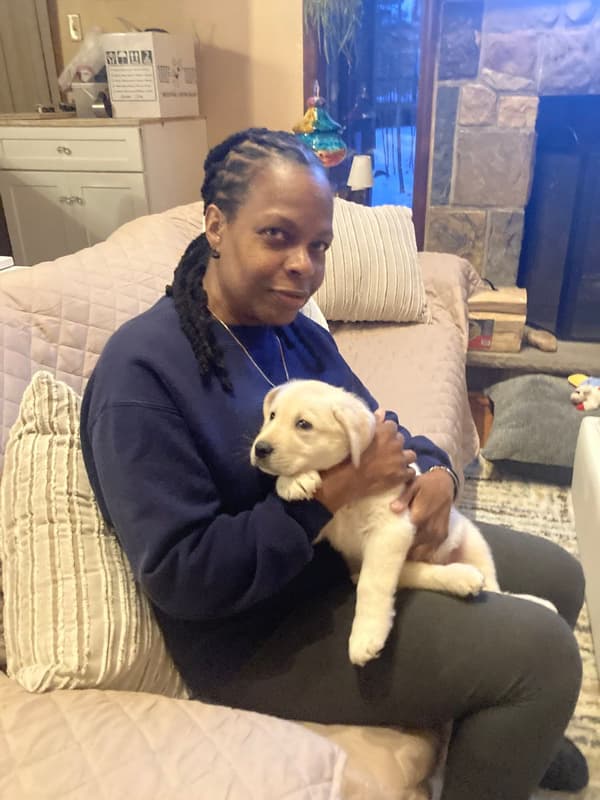 Customer photo of Labrador Retriever puppy from Cheryl B.