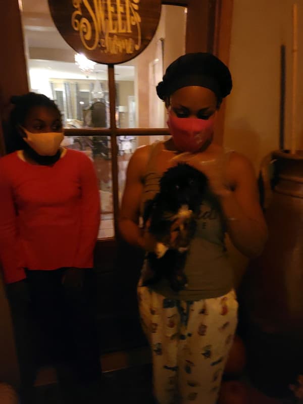 Customer photo of Pekingese puppy from Michelle K.