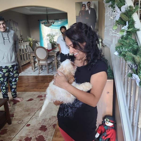 Customer photo of Shih Tzu puppy from Kanchan K.