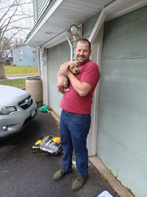 Customer photo of American Pit Bull Terrier puppy from Josh C.