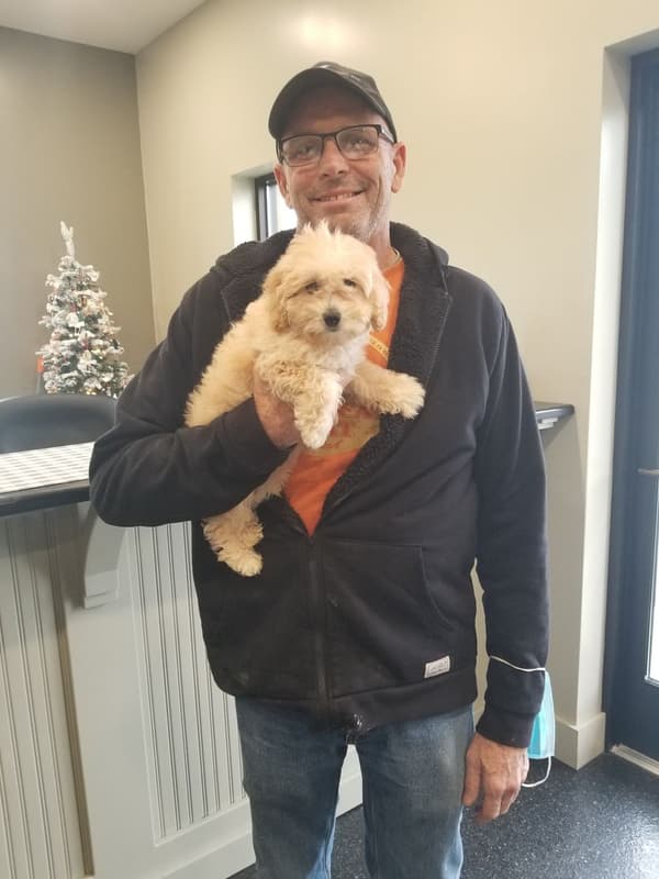 Customer photo of Malti Poo - Maltipoo puppy from Susan H.