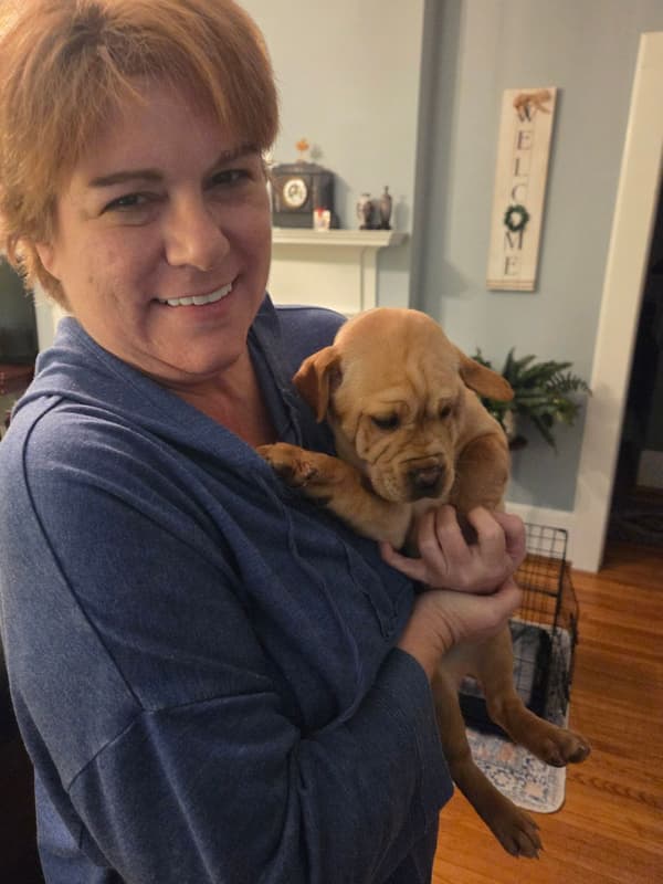 Customer photo of Mini Hippo puppy from Kerri R.