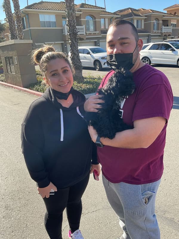 Customer photo of Yorkiepoo - Yorkie Poo puppy from Crystal B.