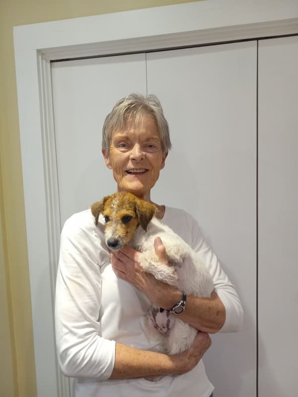 Customer photo of Jack Russell Terrier puppy from Gay E.