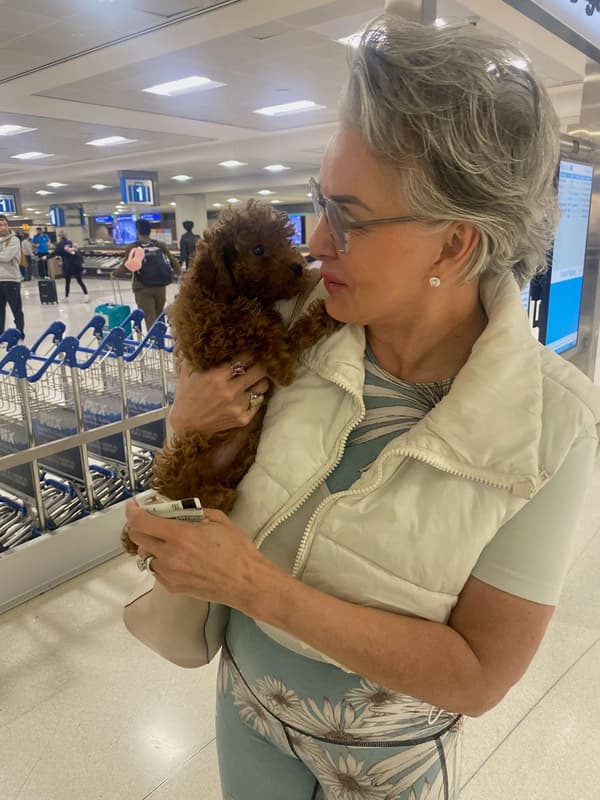 Customer photo of Poodle, Miniature puppy from Shelley W.