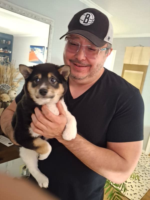 Customer photo of Shiba Inu puppy from Sean L.