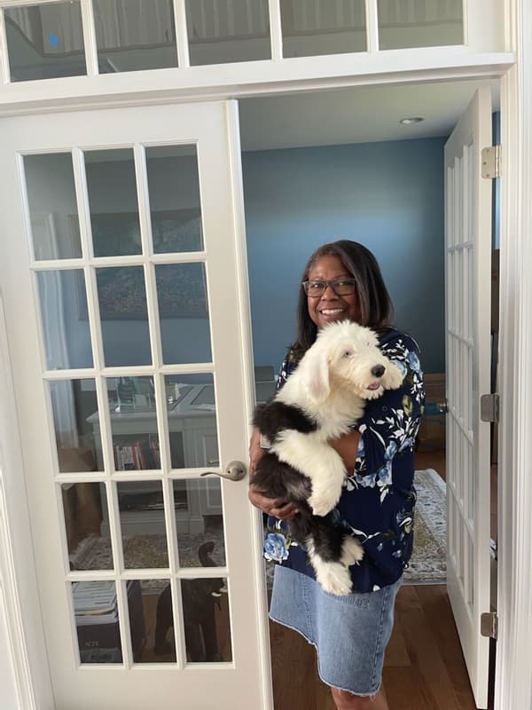 Customer photo of Old English Sheepdog puppy from Joan J.