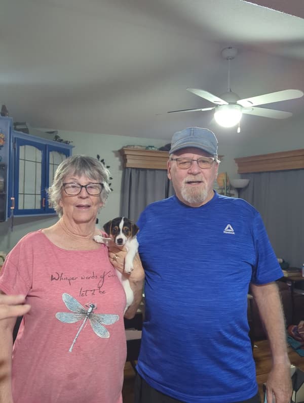 Customer photo of Jack Russell Terrier puppy from Charles M.