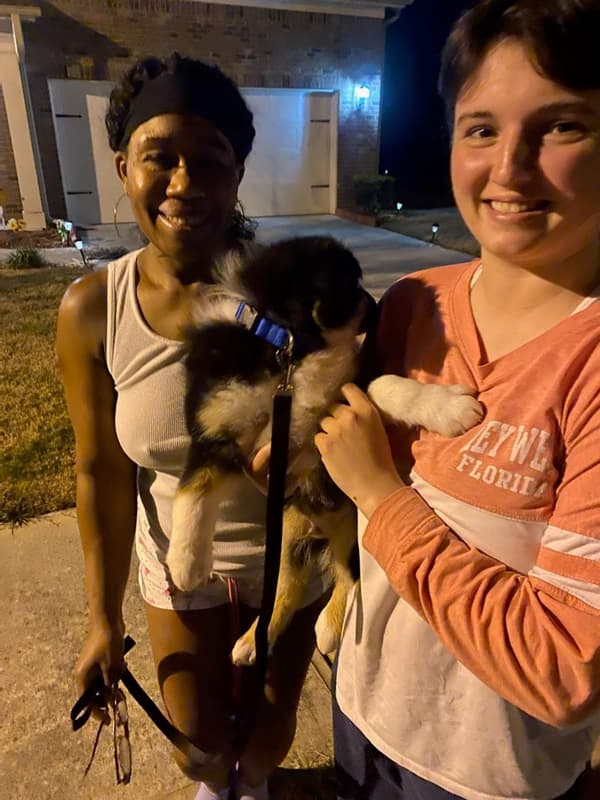 Customer photo of Miniature Australian Shepherd puppy from Carrie W.