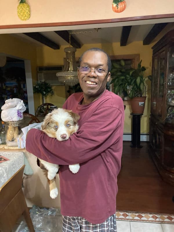 Customer photo of Australian Shepherd puppy from Frantz A.
