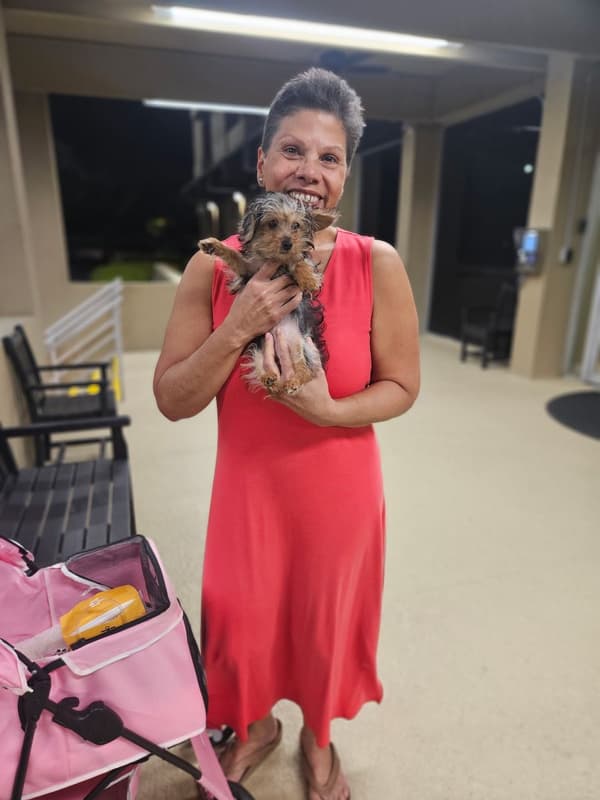 Customer photo of Yorkiepoo - Yorkie Poo puppy from Evelyn V.