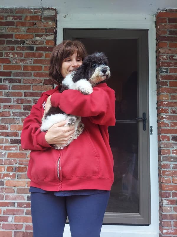 Customer photo of Cavachon puppy from Sandra H.